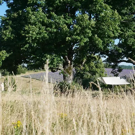 Bastide Le Paon Villa Redortiers
