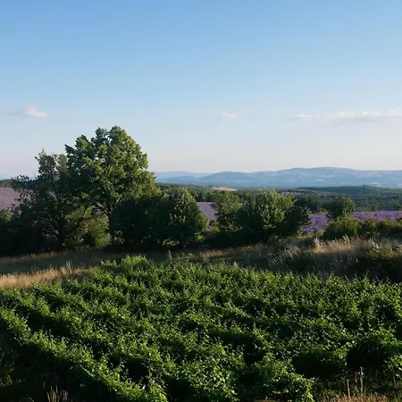 Bastide Le Paon *